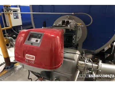 利雅路超低氮燃烧器调试维修图1