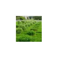 Ready-To-Go小型蒸渗仪