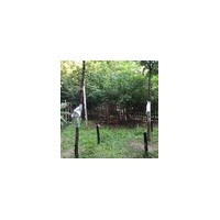 QT-2010 植物生理生态监测系统