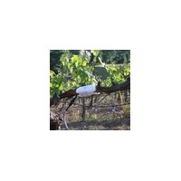 QT-2022包裹式植物茎流系统