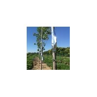 QT-2021插针式植物茎流系统