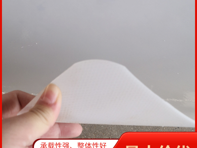 奥立厂家直供防滑塑料HDPE滑托板图3