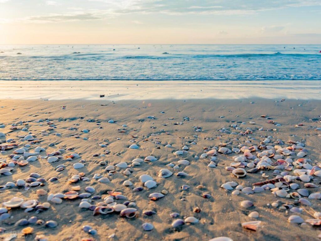 湛江旅游必去的5个景点（广东湛江自驾游5大景点）