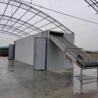 椰壳树脂快速干燥机带式食品烘干机连续运行