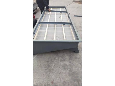 DZSF1020活性炭直线振动筛 八宝粥筛分机厂家