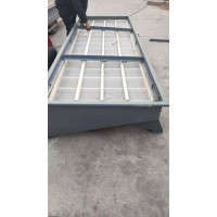 DZSF1020活性炭直线振动筛 八宝粥筛分机厂家