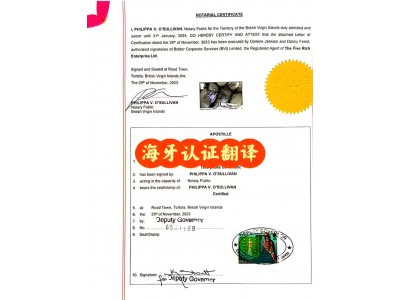 海牙认证、大使馆认证，涉外商事个人文件文书认证请咨询