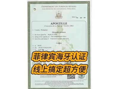 海牙认证、大使馆认证，涉外商事个人文件文书认证请咨询图2