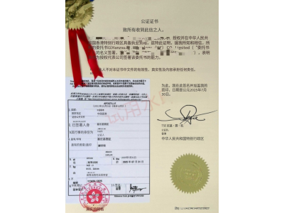 无犯罪记录公证全流程攻略