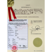 无犯罪记录公证全流程攻略