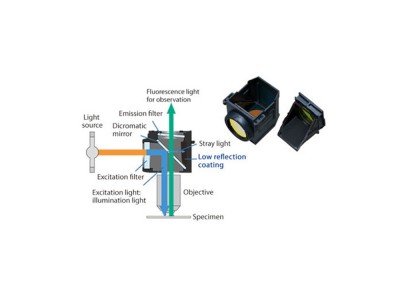 全电动倒置显微镜IXplore Standard研究级系统图3