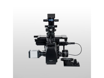 全电动倒置显微镜系统IXplore Pro