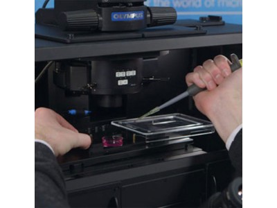 全电动倒置显微镜活细胞成像系统IXplore Live图2