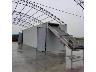 工业级黄瓜辣椒脱水干燥设备带式粮食烘干机