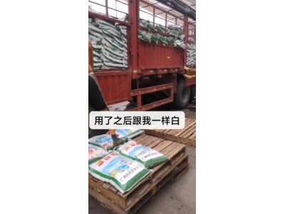 深圳惠州东莞供应漂白粉 用于漂白剂纸浆等漂白粉量大优惠图2