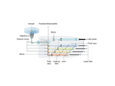 全电动倒置显微镜共聚焦成像系统IXplore Spin图2