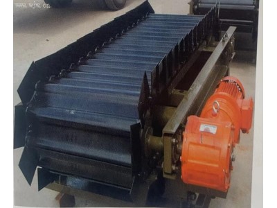 BHL轻型链板机图1