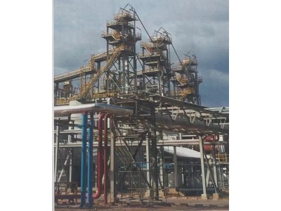 ne系列板链斗式提升机