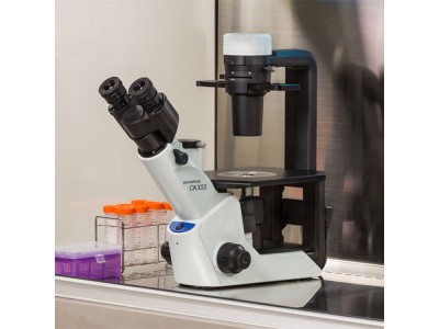 全电动倒置显微镜CKX53紧凑型细胞培养用图3