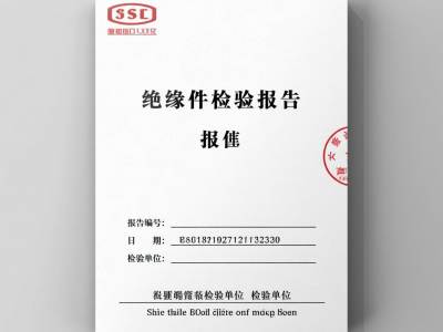 绝缘件检验报告