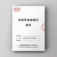 绝缘件检验报告