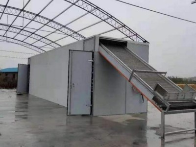 果蔬加工与农副产品干燥设备带式粮食烘干机