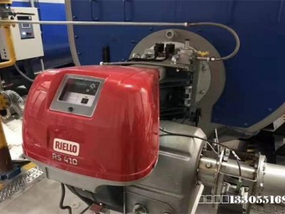 利雅路FGR低碳燃烧器经销商RS610燃烧机配件图1