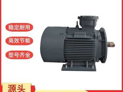 安徽新合防爆电机 石油/化工/电厂等危险场所适用 整机防爆 运行平稳图1