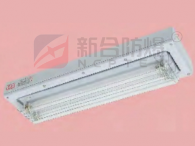 安徽新合防爆洁净荧光灯 石油采炼存储化工医疗等危险环境适用防爆防水防尘图1