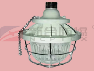 安徽新合防爆灯 石油采炼存储化工医疗等危险环境适用防美观耐用防腐性能好图1