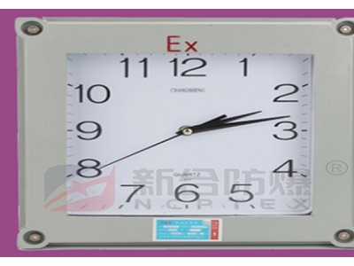 安徽新合防爆钟表石油采炼储存化工等环境适用走时精准防水防尘图1