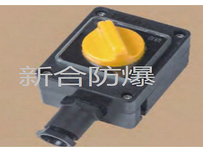 新合防爆防腐照明开关石油化工医药等环境适用体积小寿命长稳定性好图1