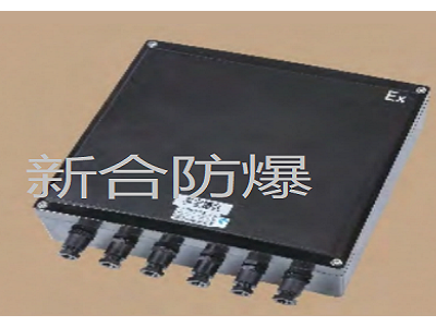 新合防腐防爆接线箱石油化工医药等危险环境适用防水防尘耐腐蚀图1