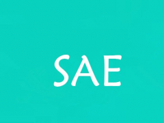 SAE是什么意思？