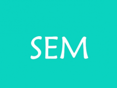 SEM是什么意思？