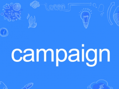Campaign是什么意思？