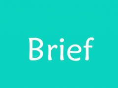 Brief是什么意思？