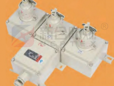 新合防爆电源插座箱石油采炼化工医药等危险环境适用 模块化设计回路可以自由组合