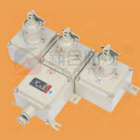 新合防爆电源插座箱石油采炼化工医药等危险环境适用 模块化设计回路可以自由组合