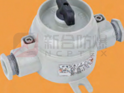 新合防爆照明开关石油采炼化工医药等环境适用性能稳定可靠防水防尘图1