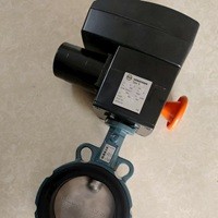 德国依博罗中线软密封蝶阀 EBRO原装