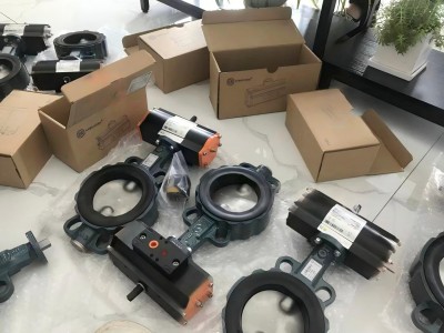 德国EBRO依博罗Z011-A电动蝶阀规格齐全图2