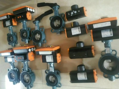 保证原装德国EBRO依博罗涡轮蝶阀 Z014-A规格齐全速发货图5