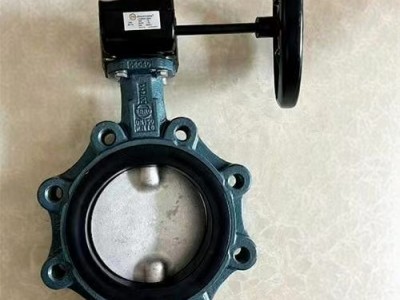 保证原装德国EBRO依博罗涡轮蝶阀 Z014-A规格齐全速发货