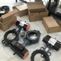 现货直销原装进口德国EBRO Z011-A型动软密封蝶阀
