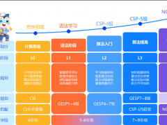 小码王信奥：铸就青少年信息学竞赛黄金赛道，培育新时代科创领军人才