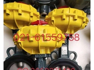 原装进口德国依博罗Z011-A型动蝶阀图3