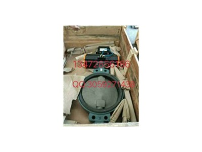 原装进口德国依博罗Z011-A型动蝶阀图4