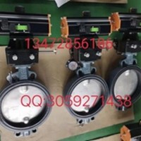 原装直销德国EBRO依博罗动蝶阀DN40-DN500