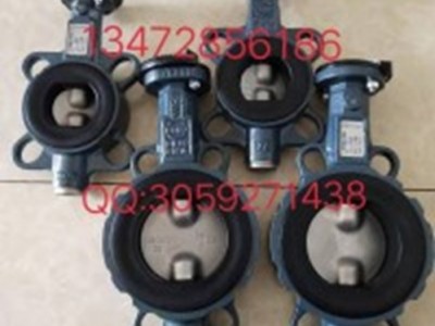 原装直销德国EBRO依博罗动蝶阀DN40-DN500图2